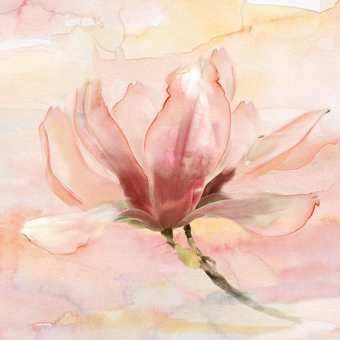 Dreamy Magnolia II White Modern Wood Framed Art Print by Nan