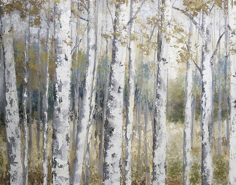 Hidden Birch White Modern Wood Framed Art Print with Double Matting by Nan