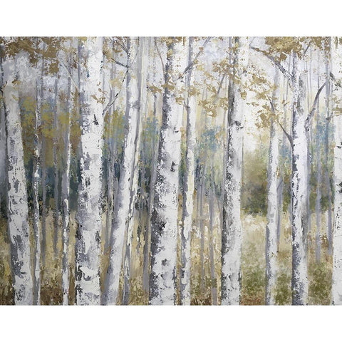 Hidden Birch Gold Ornate Wood Framed Art Print with Double Matting by Nan