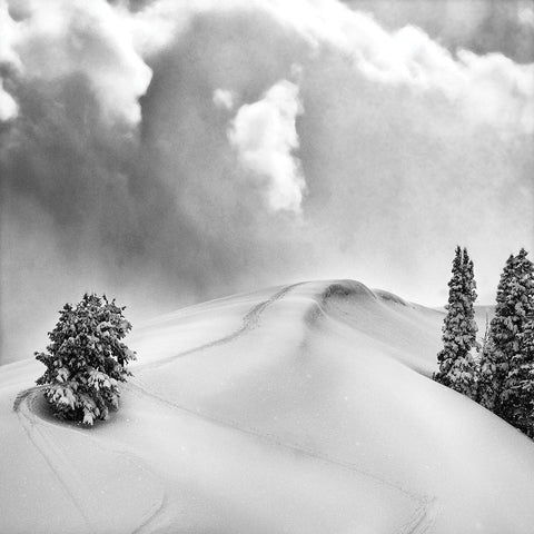 Fresh Powder White Modern Wood Framed Art Print by Delimont, Danita