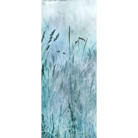 Blue Field Black Modern Wood Framed Art Print with Double Matting by Weisz, Irene
