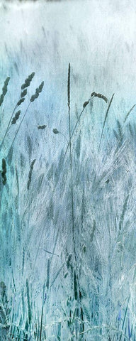 Blue Field Black Ornate Wood Framed Art Print with Double Matting by Weisz, Irene