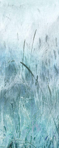 Blue Field Forever White Modern Wood Framed Art Print with Double Matting by Weisz, Irene