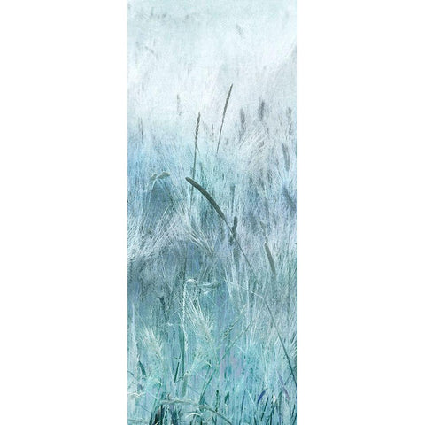 Blue Field Forever Black Modern Wood Framed Art Print by Weisz, Irene