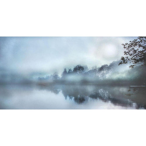 Morning Wonders Black Modern Wood Framed Art Print by Weisz, Irene