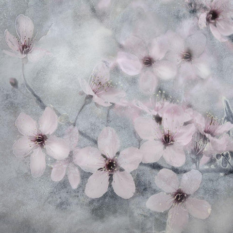 Spring Melody II White Modern Wood Framed Art Print by Weisz, Irene