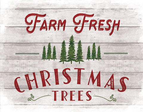 Farm Fresh White Modern Wood Framed Art Print with Double Matting by Murray, Amanda