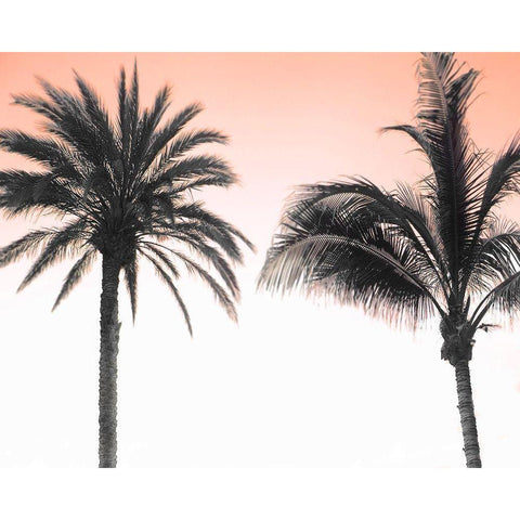 Double Dutch Black Modern Wood Framed Art Print with Double Matting by Delimont, Danita