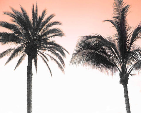 Double Dutch Black Ornate Wood Framed Art Print with Double Matting by Delimont, Danita