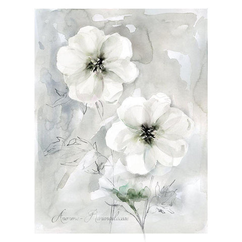 White Anemone White Modern Wood Framed Art Print by Robinson, Carol