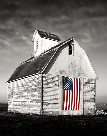 Modern Barn I White Modern Wood Framed Art Print with Double Matting by Delimont, Danita