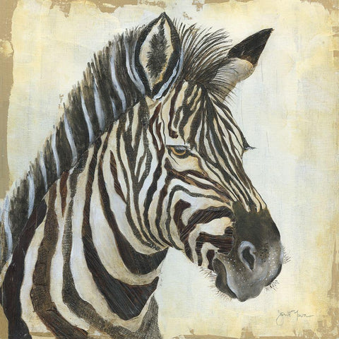 Patterned Zebra Black Ornate Wood Framed Art Print with Double Matting by Tava Studios