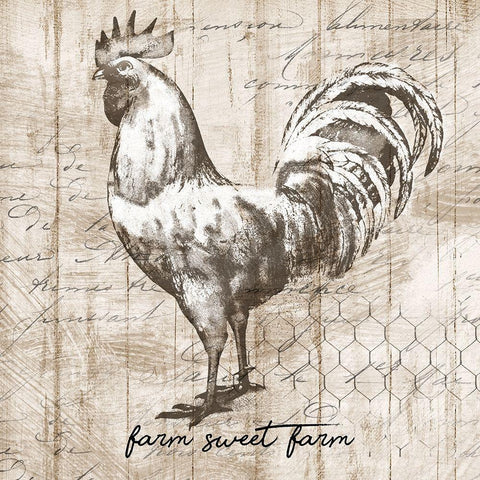 Farm Rooster Black Modern Wood Framed Art Print with Double Matting by Knutsen, Conrad