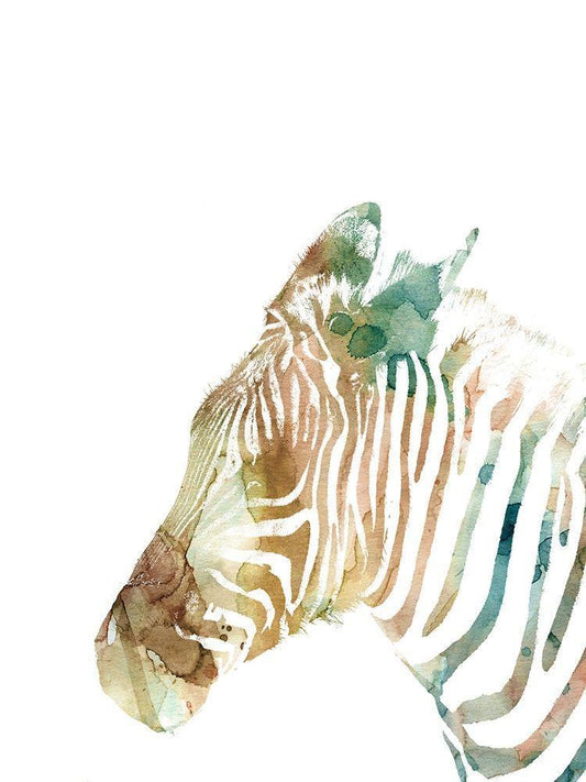 Image Only