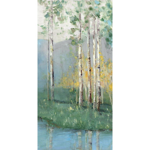 Birch Black Modern Wood Framed Art Print with Double Matting by Swatland, Sally