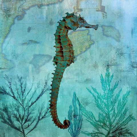 Pacific Seahorse White Modern Wood Framed Art Print with Double Matting by Nan