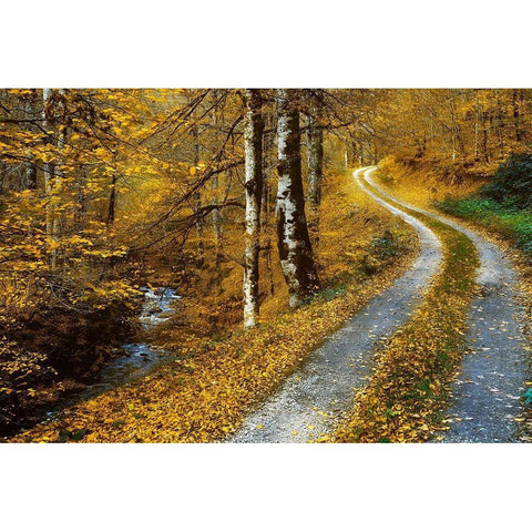Winding Road Black Modern Wood Framed Art Print by Van de Goor, Lars