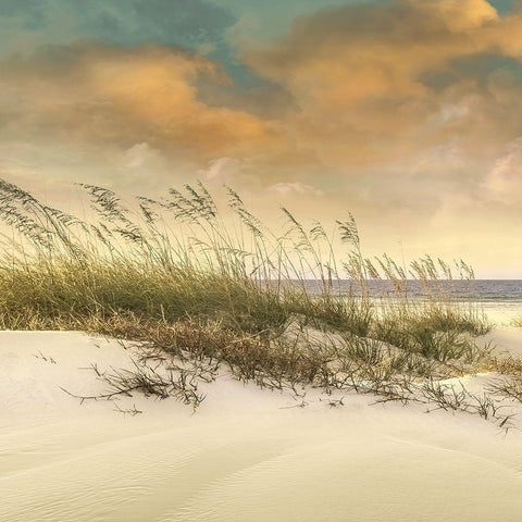 West Breeze White Modern Wood Framed Art Print by Calascibetta, Mike