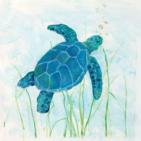 Reef Turtle I White Modern Wood Framed Art Print with Double Matting by Swatland, Sally