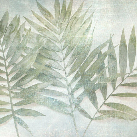 Soft Leaves I White Modern Wood Framed Art Print with Double Matting by Weisz, Irene