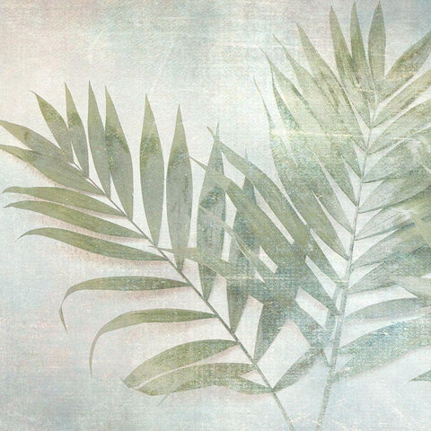Soft Leaves III White Modern Wood Framed Art Print with Double Matting by Weisz, Irene
