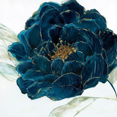 Velvet Bloom Black Modern Wood Framed Art Print with Double Matting by Swatland, Sally