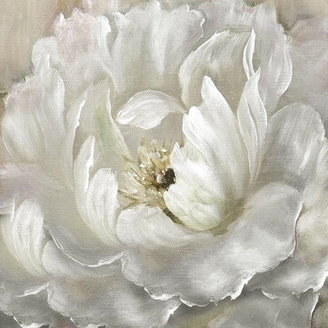 Perfect Peony White Modern Wood Framed Art Print with Double Matting by Nan