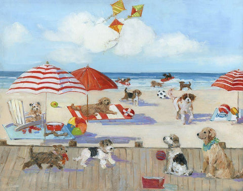 Beach Bark Park II White Modern Wood Framed Art Print with Double Matting by Swatland, Sally