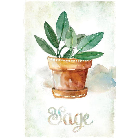 Potted Sage Black Modern Wood Framed Art Print with Double Matting by Robinson, Carol