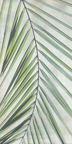 Palm Escape I White Modern Wood Framed Art Print with Double Matting by Weisz, Irene
