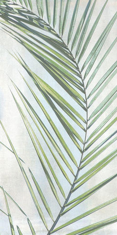 Palm Escape II White Modern Wood Framed Art Print with Double Matting by Weisz, Irene