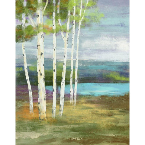 High Country White Modern Wood Framed Art Print by Nan