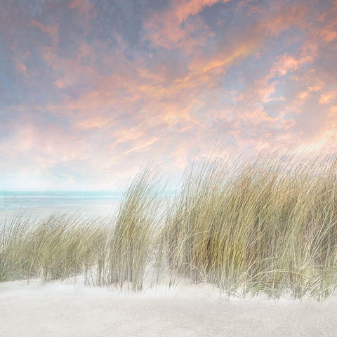 Windswept II White Modern Wood Framed Art Print with Double Matting by Calascibetta, Mike