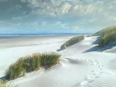 White Sands White Modern Wood Framed Art Print with Double Matting by Calascibetta, Mike