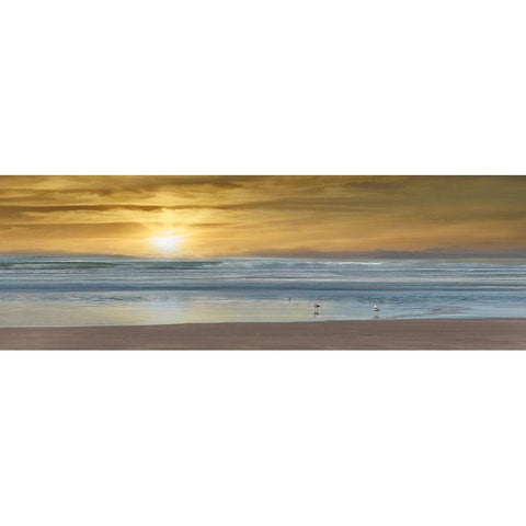 Wading White Modern Wood Framed Art Print by Calascibetta, Mike