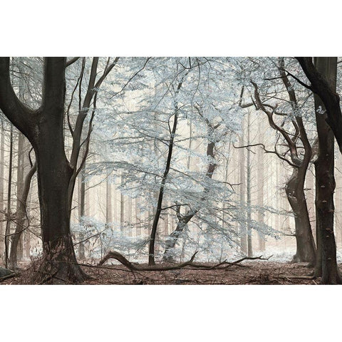 Silverwood Black Modern Wood Framed Art Print with Double Matting by Van de Goor, Lars