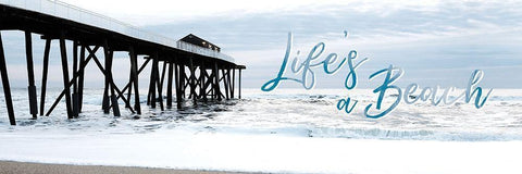 Lifes a Beach Black Ornate Wood Framed Art Print with Double Matting by Carpentieri, Natalie