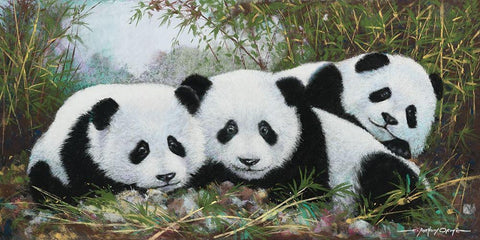 Panda Play White Modern Wood Framed Art Print with Double Matting by Orme, E. Anthony