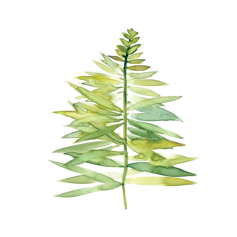 Tropical Botanical II White Modern Wood Framed Art Print with Double Matting by Robinson, Carol