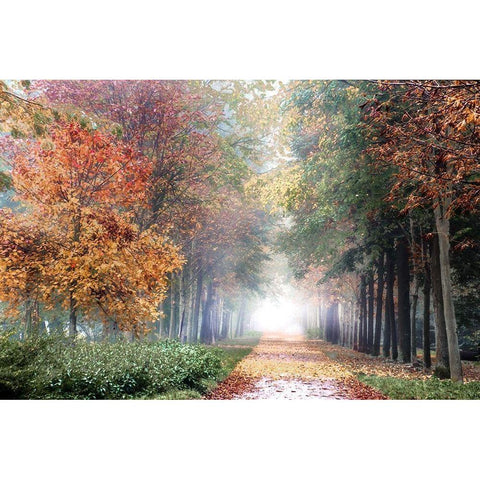 Breath White Modern Wood Framed Art Print by Weisz, Irene