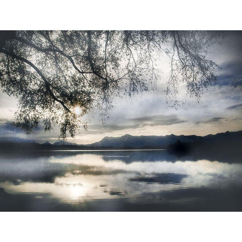Staffelsee Lake Black Modern Wood Framed Art Print by Weisz, Irene