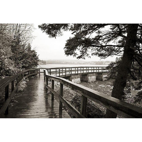 Nova Scotia Black Modern Wood Framed Art Print with Double Matting by Wilt, Kymri