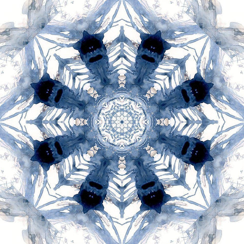 Indigo Kaleidoscope III Black Ornate Wood Framed Art Print with Double Matting by Nan