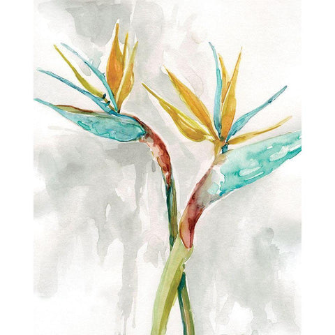 Bird of Paradise I White Modern Wood Framed Art Print by Robinson, Carol