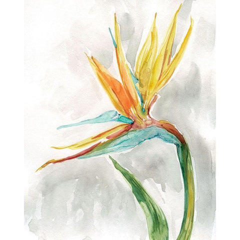 Bird of Paradise II White Modern Wood Framed Art Print by Robinson, Carol