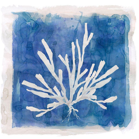 Coastal Washes Shell III White Modern Wood Framed Art Print by Robinson, Carol