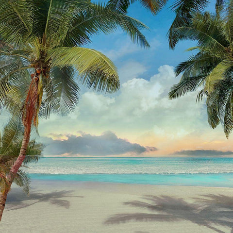 A Found Paradise I White Modern Wood Framed Art Print with Double Matting by Calascibetta, Mike