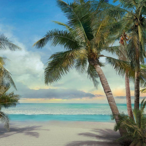 A Found Paradise II White Modern Wood Framed Art Print by Calascibetta, Mike