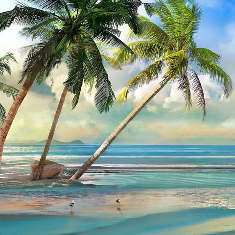 A Found Paradise III Black Ornate Wood Framed Art Print with Double Matting by Calascibetta, Mike