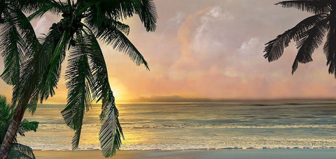 Sunset Cove White Modern Wood Framed Art Print with Double Matting by Calascibetta, Mike